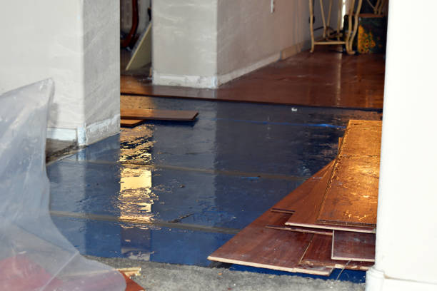 Professional Basement Flood Cleanup technician working in Flanders, NJ